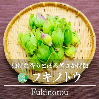 送料無料　フキノトウ・ふきのとう　山菜　天然物　約100g　長野・新潟県産