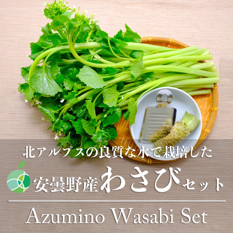 送料無料 わさび 花わさびセット 野菜 ワサビ2本 おろし金 花ワサビ5束 約500g 長野県安曇野産 ファーム大澤屋 オンラインショップ