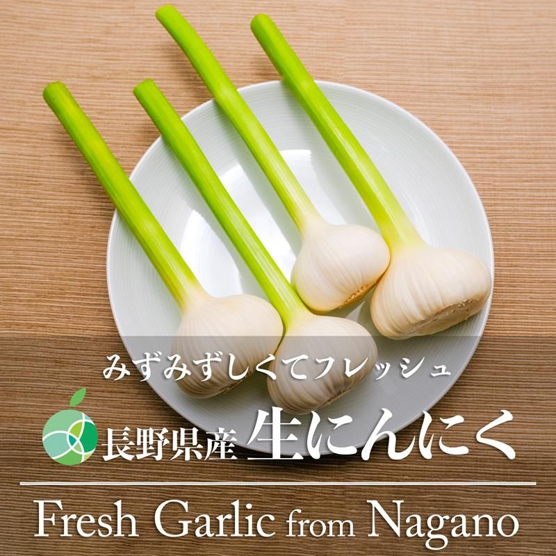 特集 大豆のチカラが元気をくれる｜農畜産物｜長野県のおいしい