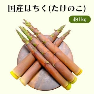 はちく 約1kg たけのこ 筍 長野県産 国産 淡竹 旬の山菜 アク抜き不要 えぐみなし 調理簡単！