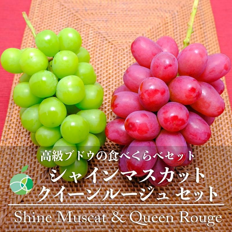 シャインマスカット+クイーンルージュセット　贈答用　秀　約2kg　各2房　長野県産　敬老の日　2023　フルーツ　ギフト - ファーム大澤屋  オンラインショップ