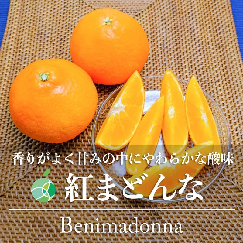 送料無料 紅まどんな みかん 青秀 3L～4L 約5kg 愛媛県産 - ファーム ...