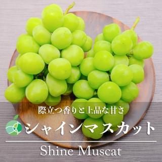 㥤ޥåȡ֤ɤ£ѡ1.2kg2˼ĹϷϥ󡡥ե롼ġե