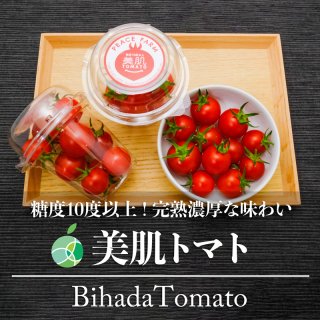 送料無料　美肌トマト　高糖度トマト　糖度10度以上　濃厚な味　2パック　約250g　長野県須坂市産