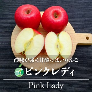 送料無料　ピンクレディ　りんご　約5kg　32〜34玉　長野県産
