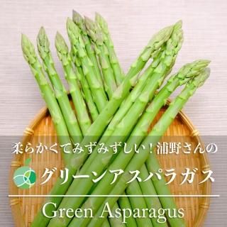 山菜食べ比べセット たらの芽・こしあぶら・こごみ 各約300g