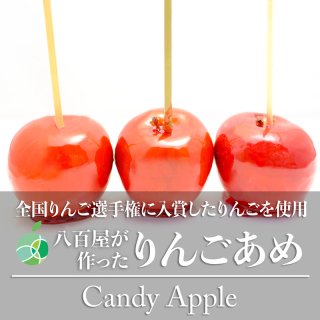 送料無料　長野県の八百屋が作ったりんごあめ　3個セット　全国りんご選手権で入賞したりんごを使用