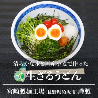 送料無料　長野県・須坂の生ざるうどん　4袋（8食）セット　甘みがありモチモチツルツルの生麺