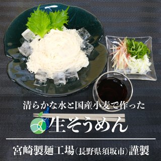 送料無料　長野県・須坂の生そうめん　5袋（10食）セット　甘みがありモチモチツルツルの生麺