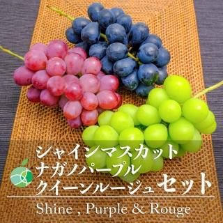 㥤ޥå+ʥΥѡץ+롼奻åȡ֤ɤ£ѡ3kg2˼ĹϷե롼ġե
