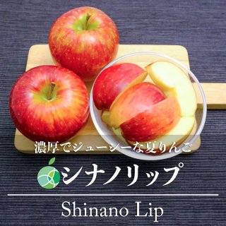 シナノリップ　りんご　贈答用　約2kg　5-8玉　長野県産　敬老の日　2023　フルーツ　ギフト