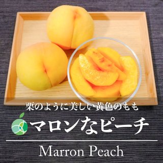 マロンなピーチ　黄金桃　もも　贈答用　秀　約2kg　6-8玉　長野県産　敬老の日　2023　フルーツ　ギフト