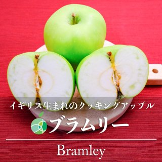 ブラムリー　りんご　約5kg　12-16玉　クッキングアップル　長野県産
