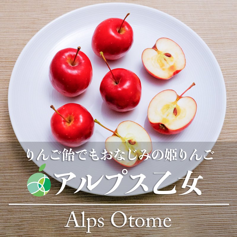 アルプス乙女 姫りんご 家庭用 約1kg 20-40玉 長野県産 調理用 製菓用