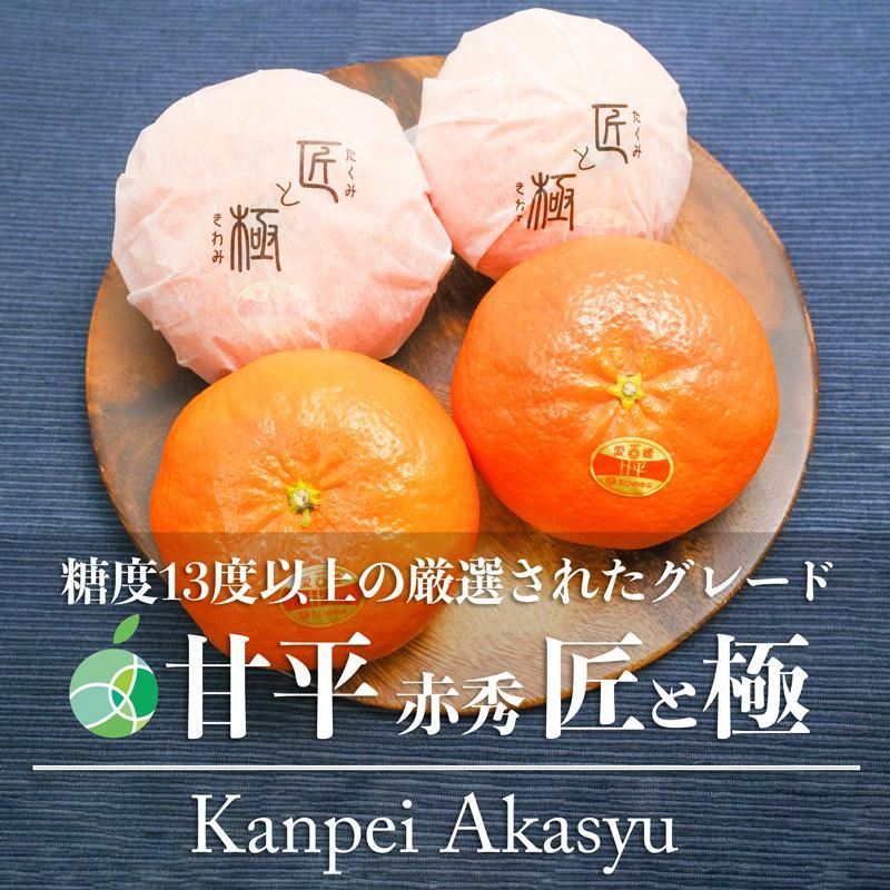 甘平 みかん 赤秀 匠と極 2-4L 約1.3kg 6-7玉 愛媛県産 甘平 みかん 赤秀 匠と極 2-4L 約1.3kg 6-7玉 愛媛県産