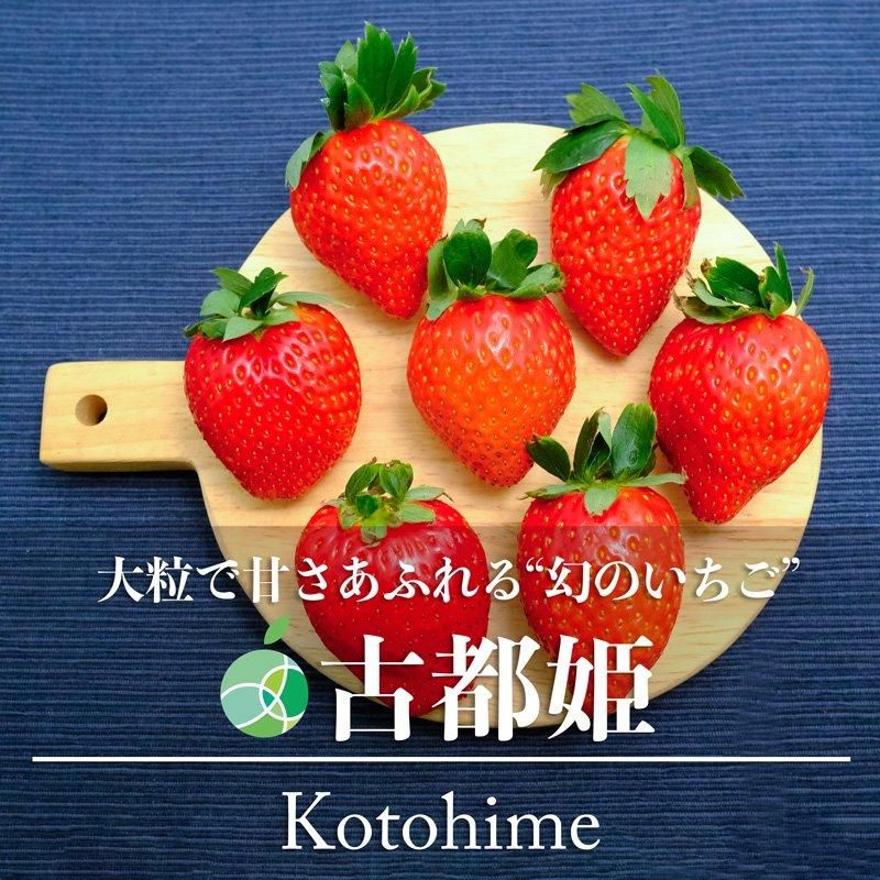 古都姫 いちご 2パック 12粒 奈良県産 トップベリー ケーキ 誕生日