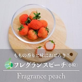 フレグランスピーチ　小粒　いちご　4パック　新潟県十日町市産　苺　ケーキ　誕生日　プレゼント　フルーツ　ギフト　ホワイトデー　ひな祭り　節句　卒園　卒業　入園　入学