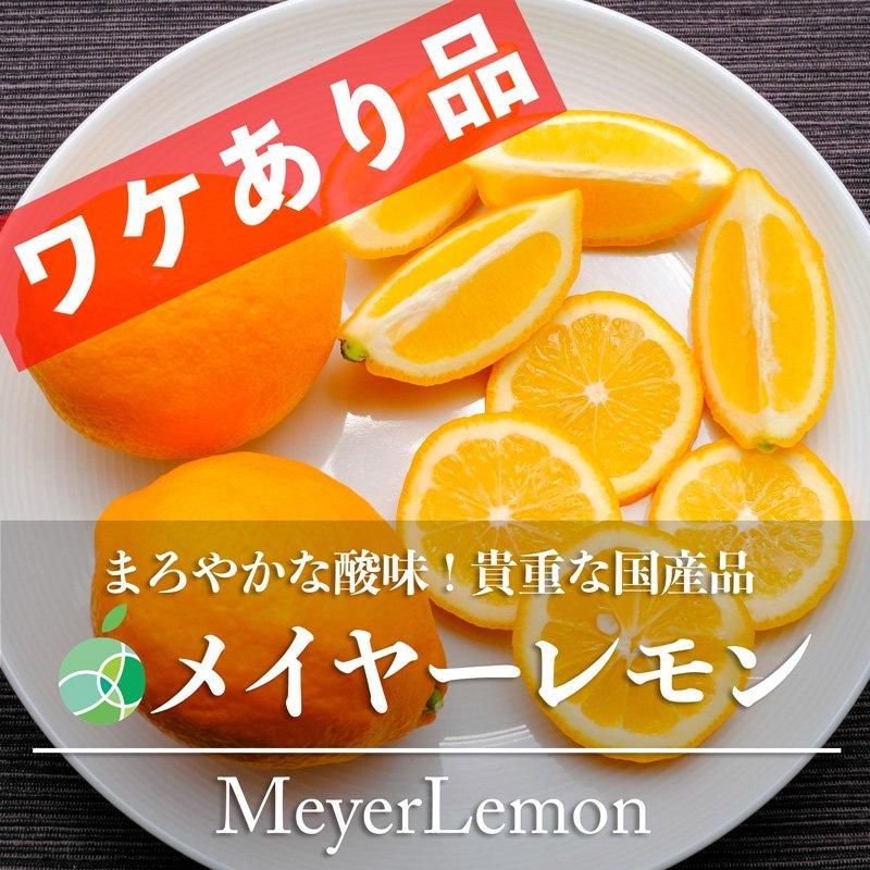 ワケあり品】 メイヤーレモン マイヤーレモン レモン L-3L 約1kg ワケあり品】 メイヤーレモン マイヤーレモン レモン L-3L 約1kg
