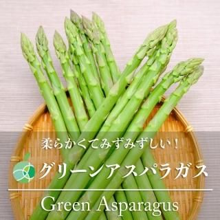 ꡼󥢥ѥ饬ѥ饬1kg2L-3L20-30ܡĹѥ