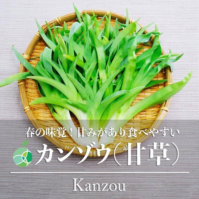 ノカンゾウ200g 採取 当日発送 無農薬 山菜 新鮮