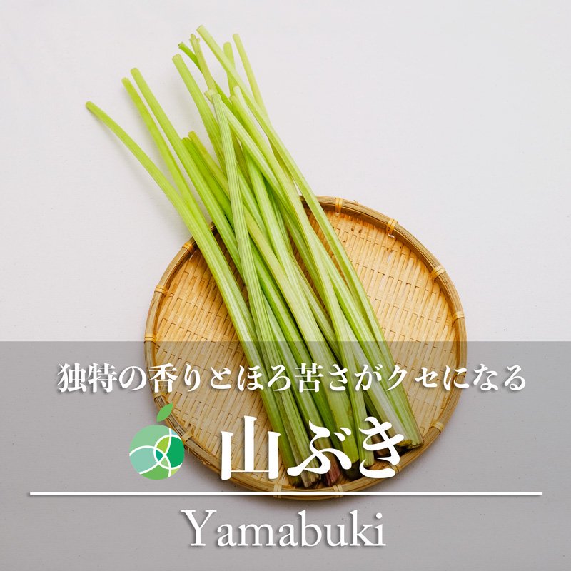 新潟県産 天然山ふき 山蕗 700g以上 2 【SALE／103%OFF】 - 野菜