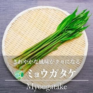 ߥ祦ߤ礦600gĹڡ謲ݡ񻺡̣եȡ£ʪ