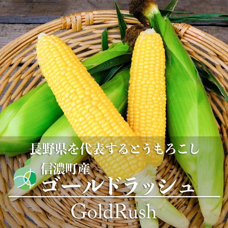 信濃町産ゴールドラッシュ とうもろこし 3L 15本 約5Kg 長野県 信濃町産ゴールドラッシュ とうもろこし 3L 15本 約5Kg 長野県