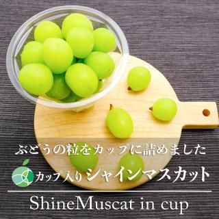 㥤ޥåȡåꡡ֤ɤγ300g1åסĹե롼ġեȡץ쥼