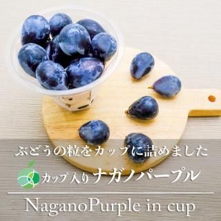 ʥΥѡץ롡åꡡ֤ɤγ900g3åסĹե롼ġեȡץ쥼