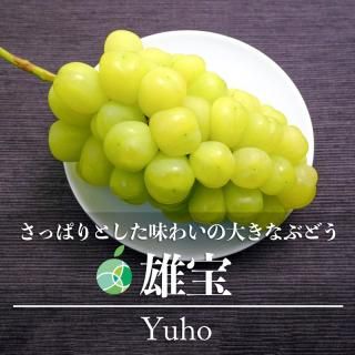 ͺ֤ɤ£ѡ600g1˼ĹϷե롼ġեȡץ쥼