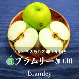 ӡꡡ֥꡼󤴡ùѡ5kg10-40̡å󥰥åץ롡Ĺ