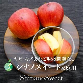 ӡꡡʥΥȡ󤴡ѡ10kg20-40̡Ĺ롡롡ե롼ġե