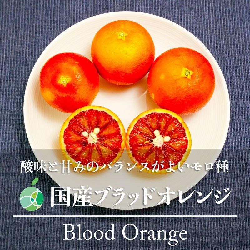 国産ブラッドオレンジ モロ 約1.5kg 15-17玉 みかん 赤秀 M 愛媛 国産ブラッドオレンジ モロ 約1.5kg 15-17玉 みかん 赤秀 M 愛媛