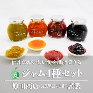 ֶ˰4糧åȡ2ܡ1180g󤺡֥롼٥꡼ߡС֡ĹˬԻľŹեȡץ쥼ȡ
