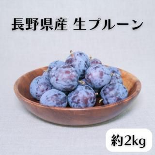 Ĺ ץ롼 2kg   ե롼 ե ץ쥼  ˤ  ڻ ˫ ¢