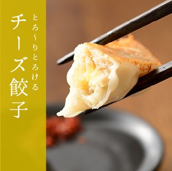 【ご自宅用】餃子3種、基本セット