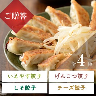 【贈答用/送料込】いえやすギフト 充実の浜松餃子 定番バラエティーセット４種