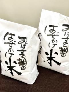 ФêĤϤ<img class='new_mark_img2' src='https://img.shop-pro.jp/img/new/icons63.gif' style='border:none;display:inline;margin:0px;padding:0px;width:auto;' />