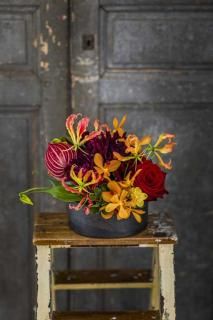 LowStyle Arrangement