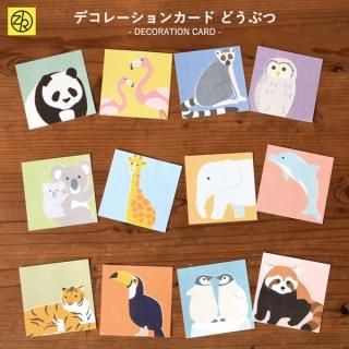 アルバム｜ゼットアンドケイオンラインショップ