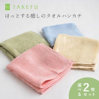 【選べる2枚セット】TAKEFU タオルハンカチ
