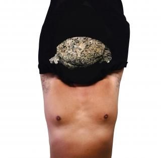 ロバート秋山の体モノマネTシャツBOTY公式オンラインショップ ロバート秋山の体モノマネTシャツBOTY公式オンラインショップ