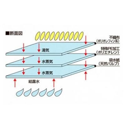 饤 5kgѡ250 11,880(ǹ)