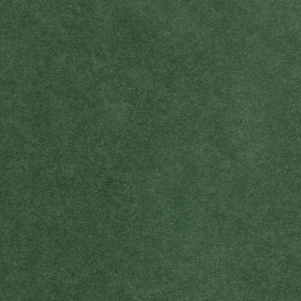 No.372  ʥ륫顼  4/6Ⱦڡ500 10,505(ǹ)