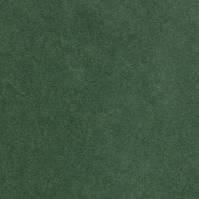 ¤No.372  ʥ륫顼  4/6Ⱦڡ50010,505(ǹ)