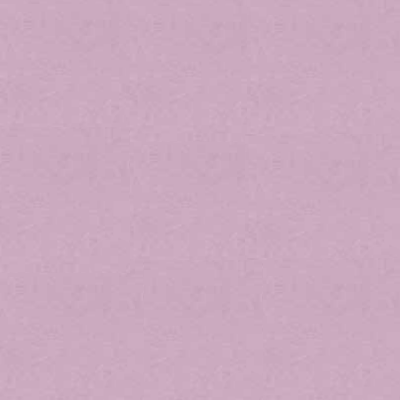 ޤ ٤ˤդ ϻȽ300 43,230(ǹ)