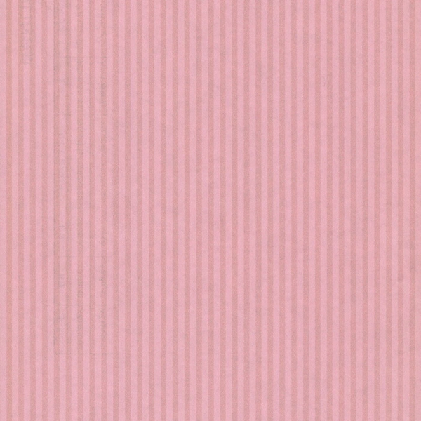  ꥹԥ ϻȽ300 15,807(ǹ)