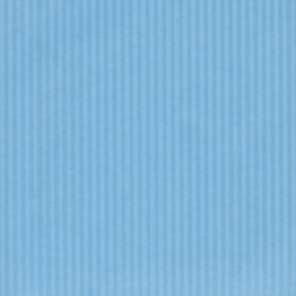  ꥹ֥롼 ϻȽ300 15,807(ǹ)