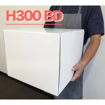祱Ȣ H300 BD ̵ ѡ5å 8,547(ǹ)