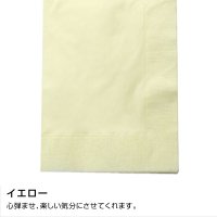 ¤LUC-28 Ҥ顼ʥץ 450450mm 2PLY 8 쥮顼顼 2000ۡ504015,796(ǹ)